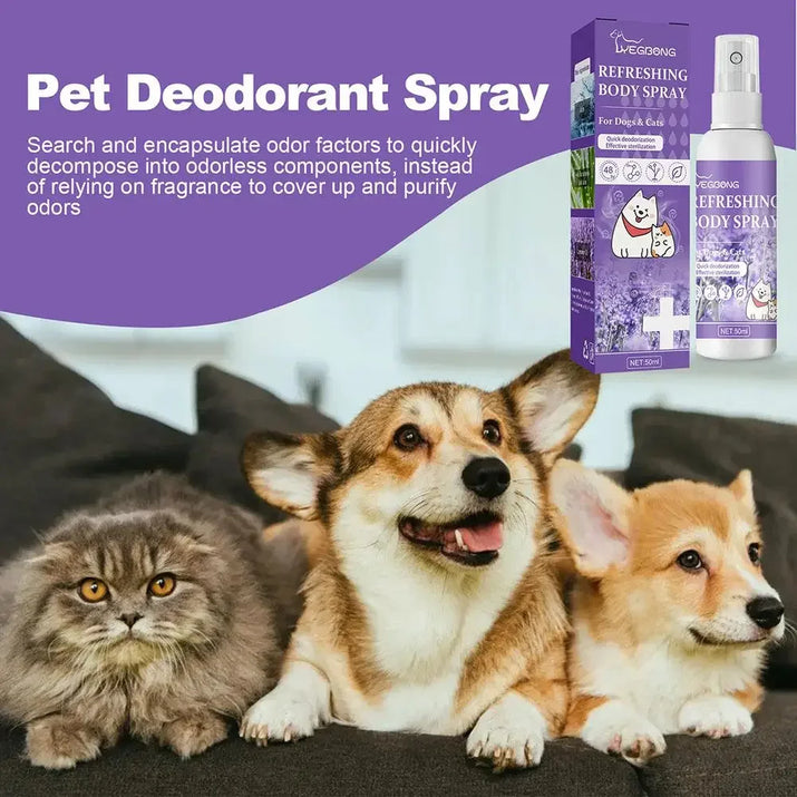 Deodorizer Spray  Cats/Dogs , Odor remover
