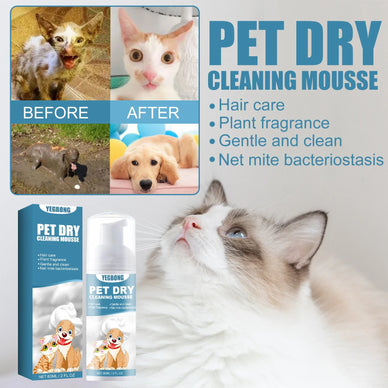 Transform Your Pet’s Freshness and Happiness Today!